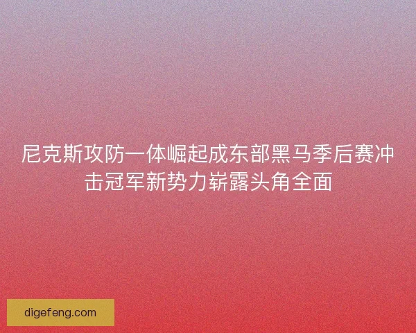 尼克斯攻防一体崛起成东部黑马季后赛冲击冠军新势力崭露头角全面